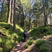 Nun geht’s gegen den Karlstein hinauf. Haben wir ihn schon verpasst?<br /><br />