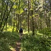 Aufstieg zur Schanze Höchst. Diese sicherte die Strasse Hornberg - Gutach - Elzach.<br /><br />