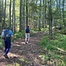 Bereits nach der Hasenecklehütte, sind wir jetzt im Aufstieg zum Farrenkopf.<br /><br />