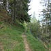 Abzweig Jägersteig am Weidezaun 