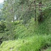 Routenverlauf Pfad/Steig am Mittergern (T3)