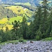 Aschinger Alm von oben