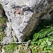 gebrochener Anker bei einer Seilversicherung