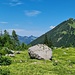 Heuberg und Felsblock beim Abschneider