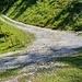 Kurve am Fahrweg zur Winkelalm