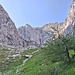 viel Grün noch vor der Stone Zone