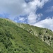 Durch Heidelbeersträucher und Alpenrosen.