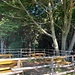 Sitzgelegenheiten an der Bocchetta di Graglio