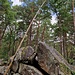 Schieflage.