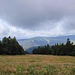 Eine halbe Stunde später schaut es gleich ganz anders aus, Schon ist der Zwieselberg, der vorher noch in den Wolken war, gut zu erkennen. Standort ist die Wiese der Standardabfahrt.