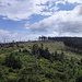 Blick vom Schönbergfelsen zurück zum Grenzsteig und in Richtung Hochfichtgipfel.