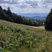 Die Nordseite des Reischlberges haben wir Richtung Süden verlassen und befinden uns jetzt auf der Reischlbergabfahrt.