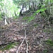 Ich umgehe hier den Südostfelsen auf der Bergseite und gucke, ob ich so weiter hinauf komme.