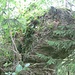 Das ist der Gipfel des Südostfelsens von der Bergseite gesehen. Rechts und links geht es senkrecht runter, hier ist für mich Schluss, 