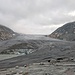 Il fronte del Rhonegletscher
