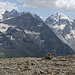 Pizzo Zupò, Piz Morteratsch, Pizzo Bernina, Monte Scerscen, Pizzo Roseg.