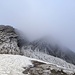 Schafberg Ostrinne - heute für mich nicht erreichbar. Aufgrund der 10m Schnee, mit Laufschuhen nichts zu machen