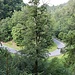 Talblick