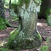 Günthers Kreuz, Rückseite