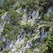 Exponierte Querung im unteren Bereich des Haggenspitz