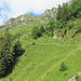 Blick zum Wängihorn.