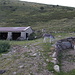 al mio arrivo in baita