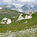 Gips bzw. Dolomit-Höcker strahlen weiss in der Landschaft