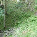 Weg