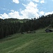Ochsenalm
