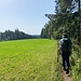 Auf dem Wanderweg, parallel zur Zufahrtsstrasse zum Brend.<br /><br />