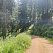 Auf dem Weg zum Schweizergrund.<br /><br />