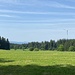 Vermehrt nun auch offene Wiesen.<br /><br />
