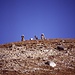 Foto 1 zur Besteigung des Yala Peak: die im Text erwähnten Steinmänner.