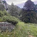 Abzweig am beschrifteten Stein