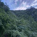Nach dem Stein steigt die Pfadspur auf einem Rücken und klettert linkerhand eine Rinne empor, die dann gequert wird. Nach der Querung hat man den Brunnen (Karte: Alpe Corveggia fast erreicht. 