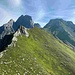 Rückblick. Tierpfade stellenweise erkennbar.