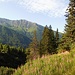 Aufstieg vom Lucknerhaus  zum Greibühel