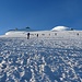 ...und dann geht es an den langen Gipfelaufstieg zum Bishorn.