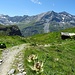 ...und bei der kleinen Alm Combautanna gelangt man wieder mitten hinein in die Alpenblumen