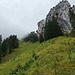 Die schräge Schafhalde an diesem steep sheep peak