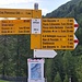 <b>Alle 6:40 mi avvio lungo il sentiero che conduce alla Capanna Piansecco, ai fianchi del quale si notano già dei mirtilli maturi.</b>