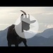 Il video di <b>Giordano</b>
Seguite il suo canale <a href="https://www.youtube.com/@giordanocarugo5189" rel="nofollow"> YouTube</a>