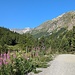 Zum zweiten Mal in Folge fuhr ich mit dem Bike ins Val Bever.