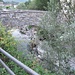 Sono da poco passate le sei e, dopo aver superato il «Ponte delle Folla» (Asso – Scarenna), attraverserò la SP41 (che sale al Ghisallo) per imboccare Via Cranno.