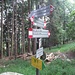 In arrivo alla Colletta dei Corni (m 878), crocevia di sentieri in questa zona. Da qui a poco avvisterò un bell’esemplare di muflone maschio del quale ho visto, per pochi attimi, le belle corna ricurve.