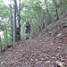 Dalla Colletta dei Corni si entra in un vasto bosco di faggi, che accompagna l’escursionista fino al Rifugio S.E.V..