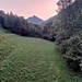 In questa radura, appena prima di entrare nei boschi, avvisterò un bel capriolo che però si è subito dileguato. Sullo sfondo la Grignetta.