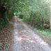 Mulattiera nel ritorno lungo il torrente Foce, di fianco alla strada che sale verso il Ghisallo.