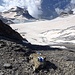 geschafft!
auf dem Gämsfairenjoch - mit Blick über eine weitere Gruppe und Gletschersee zum Hinter Geissbützistock