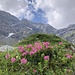 kontrastreiche Bergwanderung am ersten Tag